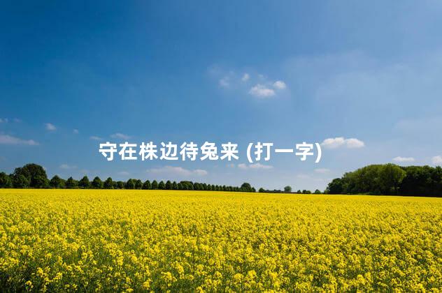 守在株边待兔来 (打一字)